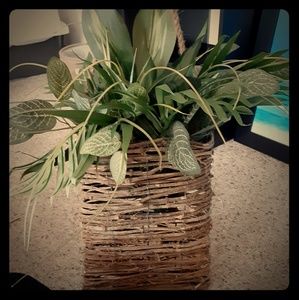 Tropical plant arrangements in basket